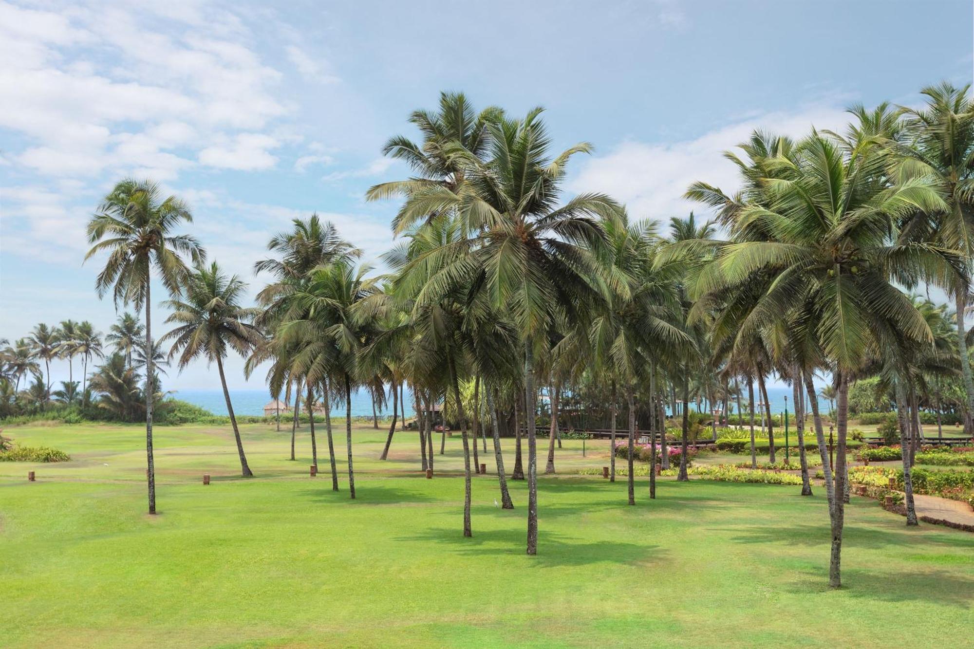 Itc Grand Goa, A Luxury Collection & Spa, Goa Resort